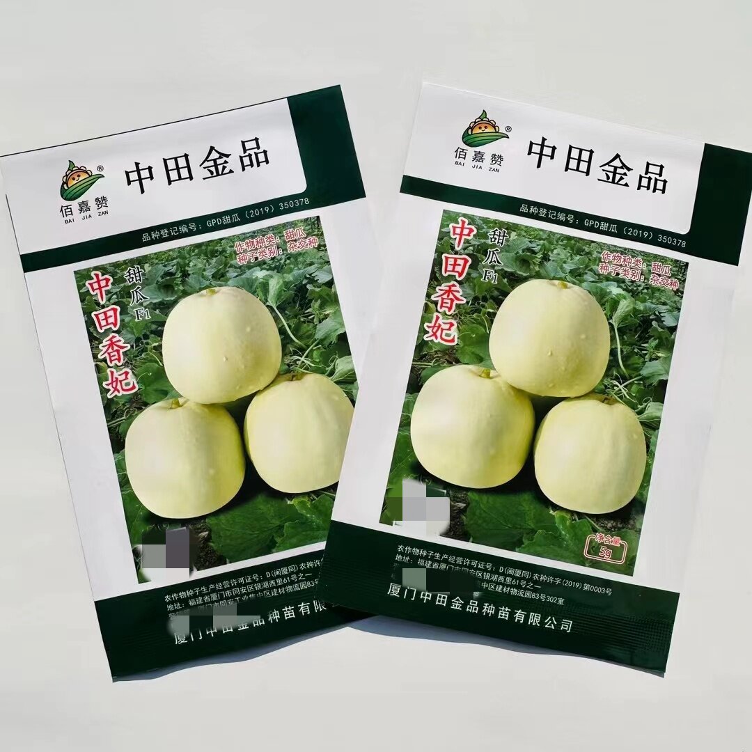 中田香妃甜瓜种子白皮薄皮香瓜种粒甜度高杂交水果玉奶香甜瓜种子