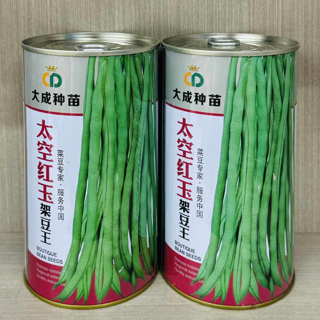 大成种苗太空红玉架豆王种子中晚熟架芸豆种籽无筋架豆蔬菜荚浅绿
