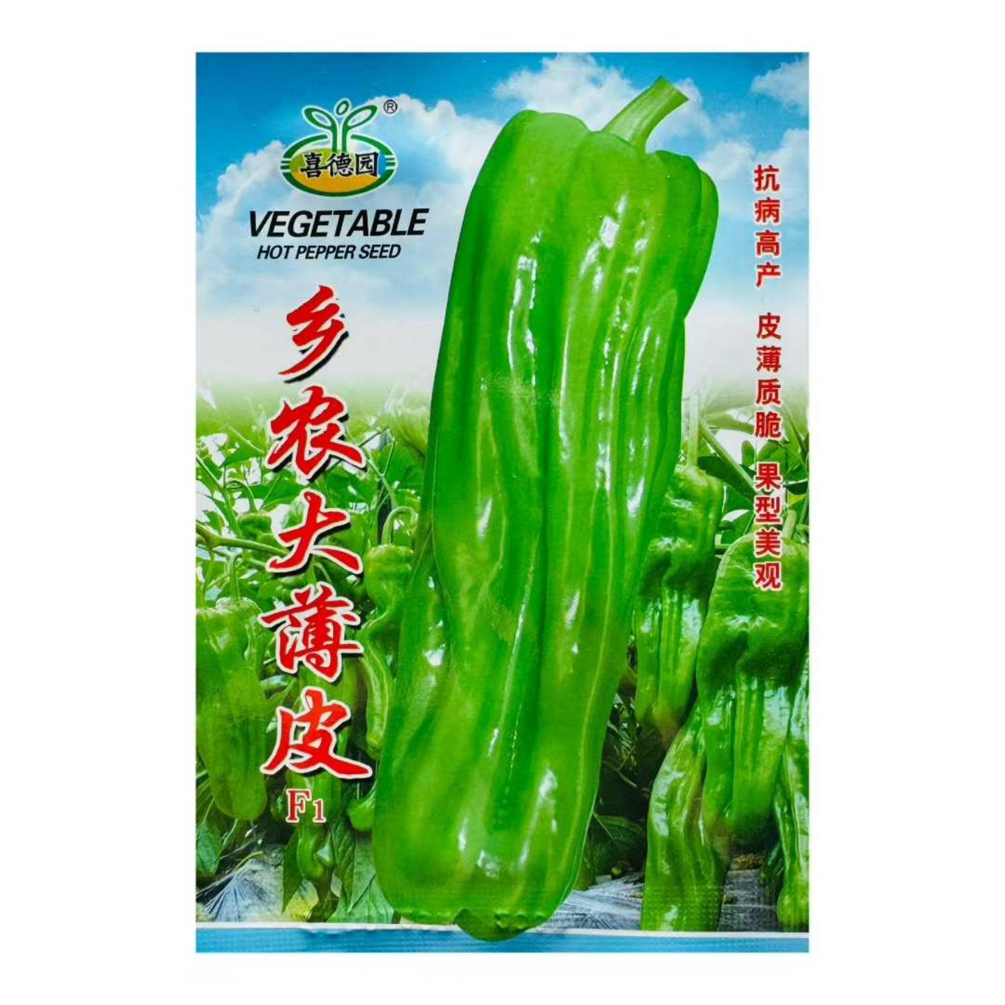 乡农大薄皮辣椒种子早熟大果薄皮椒种籽微辣皮薄长灯笼型蔬菜种子