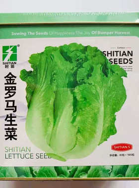 时田金罗马生菜种子全年耐抽苔生菜种籽脆甜味美农家四季速生蔬菜