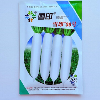 雪印36号白萝卜种子长白大萝卜脆甜耐抽薹农田秋播蔬菜菜籽