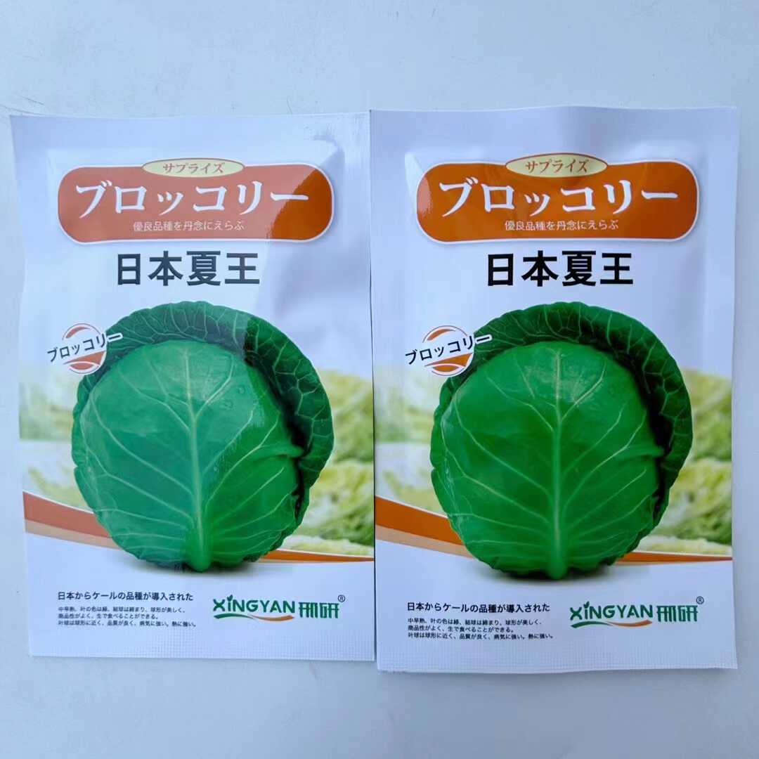 日本夏王甘蓝种子卷心菜包菜种籽孑秧包心菜圆球菜蔬菜苗大头菜秧
