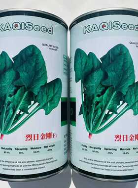 烈日金刚一代杂交菠菜种子耐热耐抽苔叶大肥厚抗病强大田用种包邮