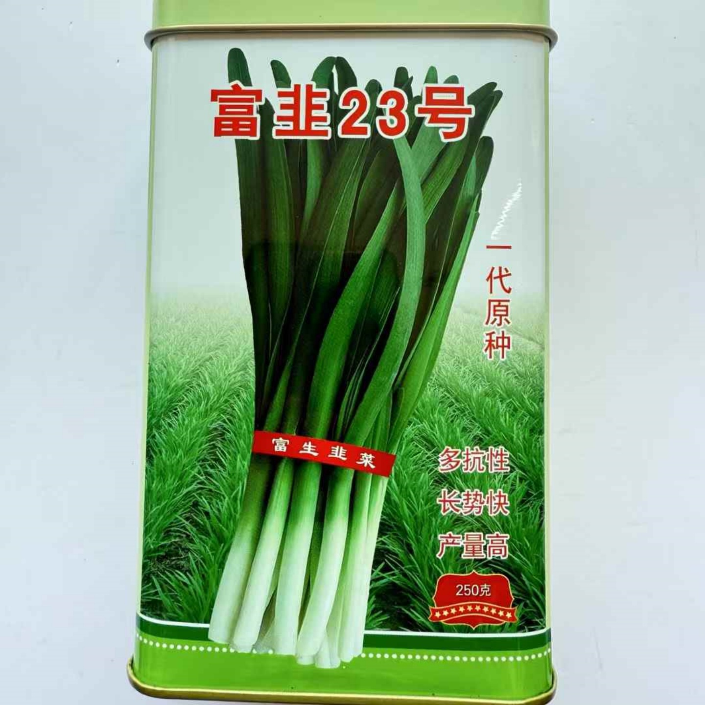 富韭23号韭菜种子冬季不休眠宽叶肥厚春秋播种韭菜种籽抗重茬蔬菜