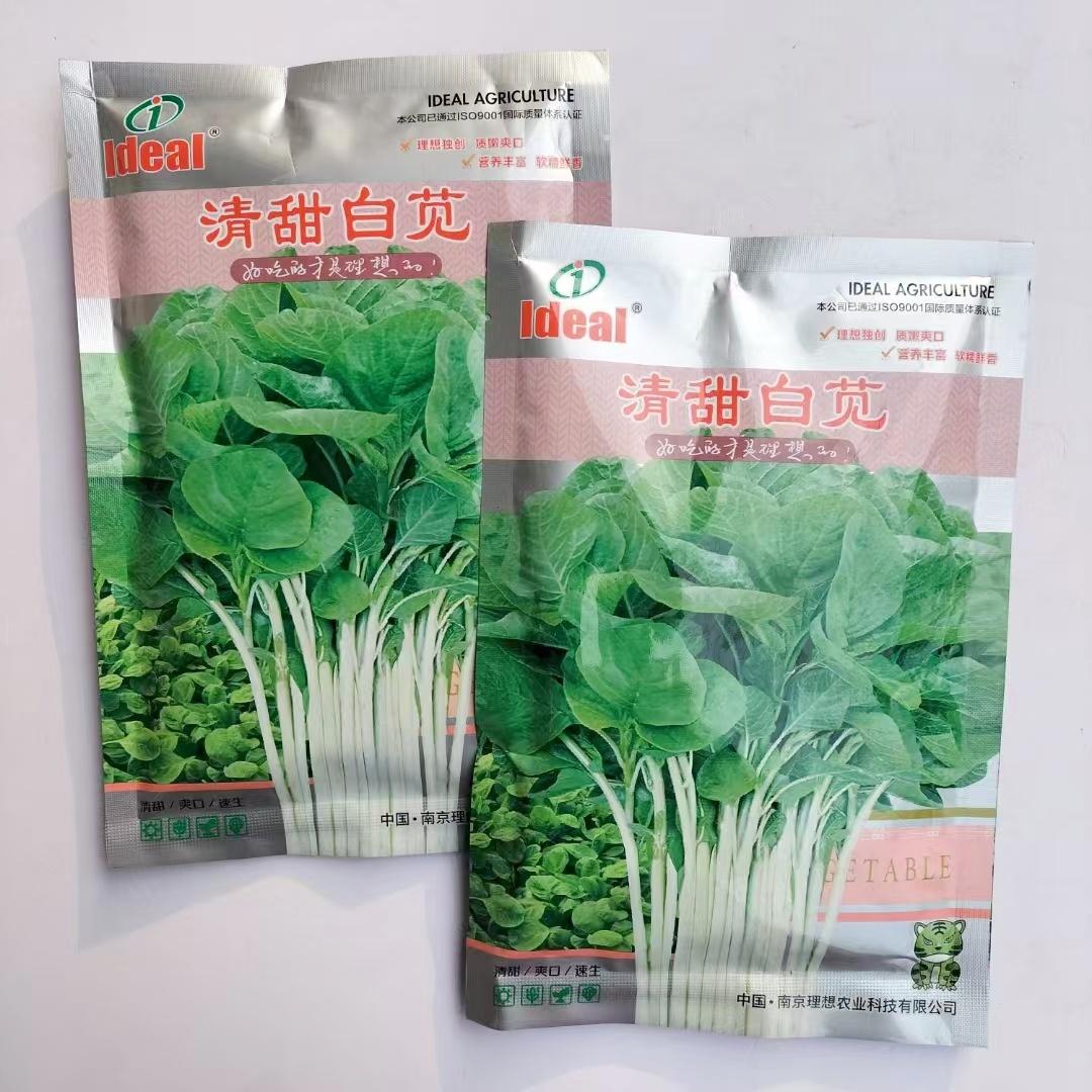 清甜白苋菜种子高产抗病