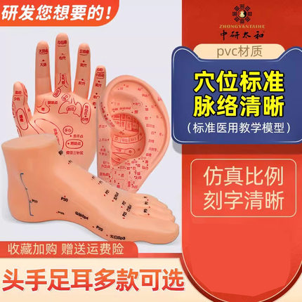 小儿推拿模型培训娃娃带穴位仿真按摩婴儿中医人体经络教学用全身