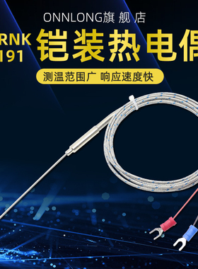 K型热电偶电热偶WRNK-191铠装温度传感器可弯曲探头Pt100/E/J/T
