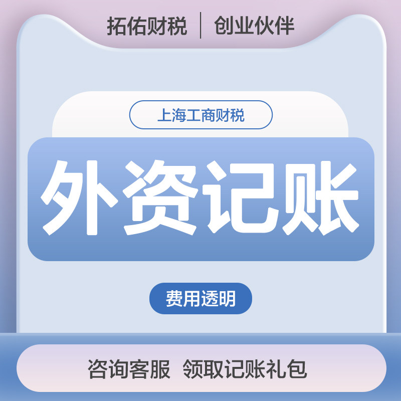 上海外资公司注册代表设立财务会计核算咨询年度报告代理记账编制