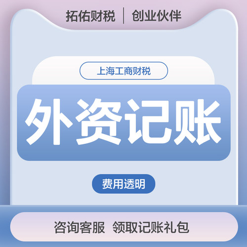 上海外资公司注册代表设立财务会计核算咨询年度报告代理记账编制