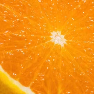 衢州桔柚非建阳甜桔柚纯甜无酸 十斤55元江浙沪皖以外地区不发货