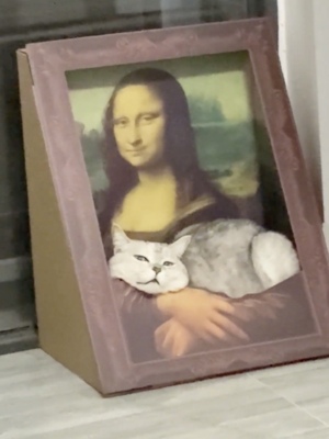 蒙娜丽莎猫窝猫抓板一体三角立式猫抓板瓦楞纸猫窝4d立体宠物用品