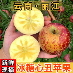 云南丽江宁蒗冰糖心丑苹果应季泸沽湖脆甜红富士小凉山野生萍果