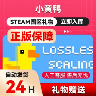 steam正版Lossless Scaling小黄鸭 好友礼物 国区礼物