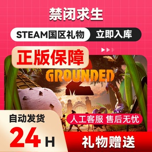 steam正版 禁闭求生 好友礼物 国区礼物 正版礼物