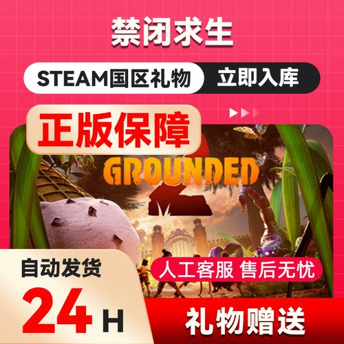 steam正版 禁闭求生  好友礼物 国区礼物    正版礼物