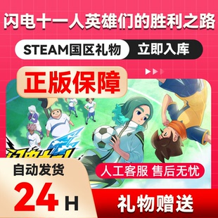 Steam正版闪电十一人英雄们的胜利之路 国区礼物好友礼物正版游戏
