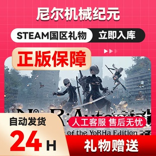 steam正版 尼尔机械纪元 好友礼物 国区礼物    正版礼物