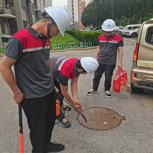 北京专业上门除蟑螂灭鼠除虫除蚂蚁灭臭虫蟑螂药一窝端家用