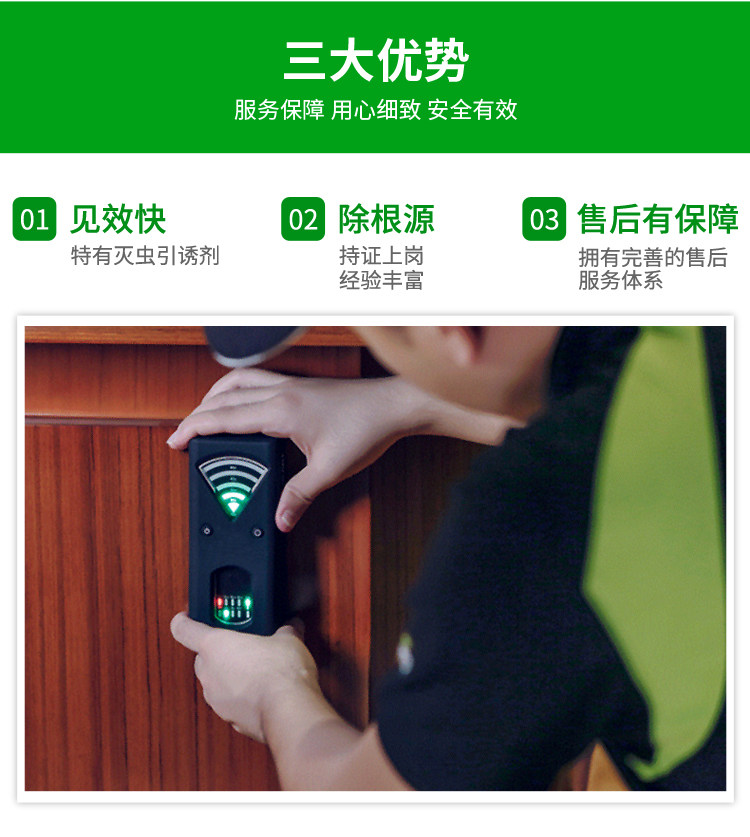 北京专业除虫一窝端无害灭鼠