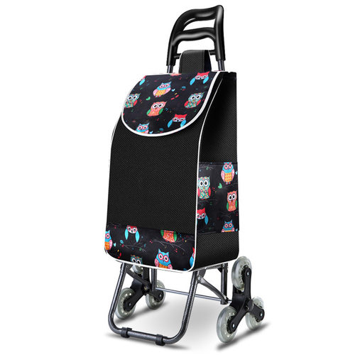 Vegetableshoppincarfdk