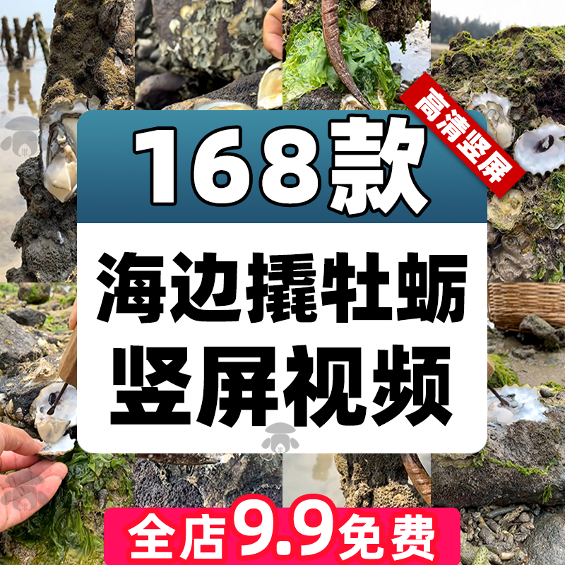 海边撬开牡蛎挖生蚝取肉赶海竖屏短视频减压解压小说推文素材高清