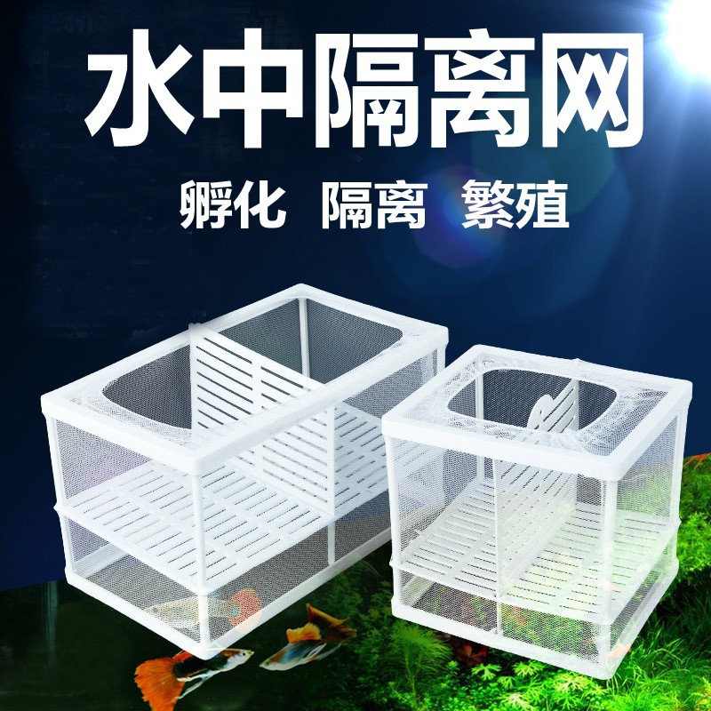 斗鱼孵化盒繁殖鱼缸隔离网图片