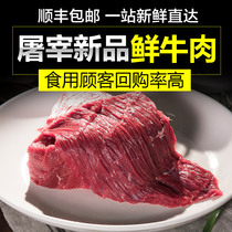 Kangmei farm's high-quality sour beef farmers raise halal fresh beef fresh frozen raw beef 1000g