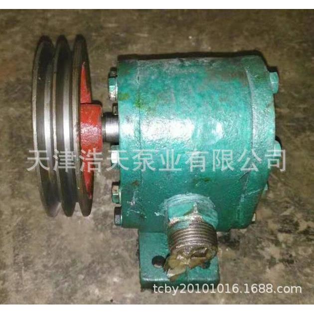 齿轮泵CB40 花生油 豆油 菜籽油齿轮泵 沥青 树脂 粘油稠油齿轮泵