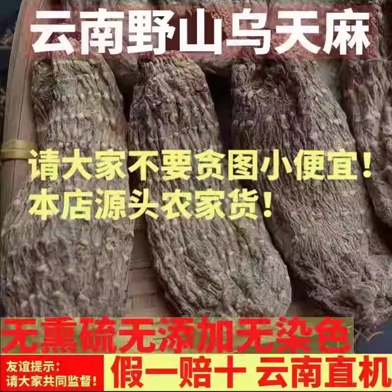 云南昭通野外乌天麻无硫专治头痛
