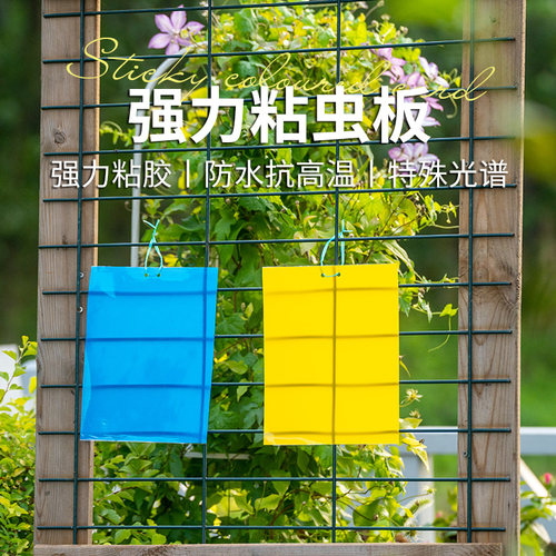 黄板安全养护绿植花卉双面诱杀