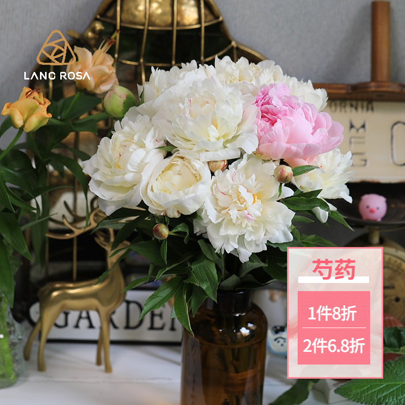 天狼芍药木本时令花卉