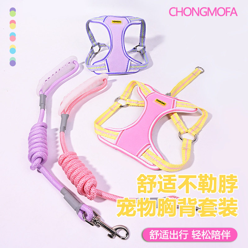 护胸式狗狗牵引绳小型犬