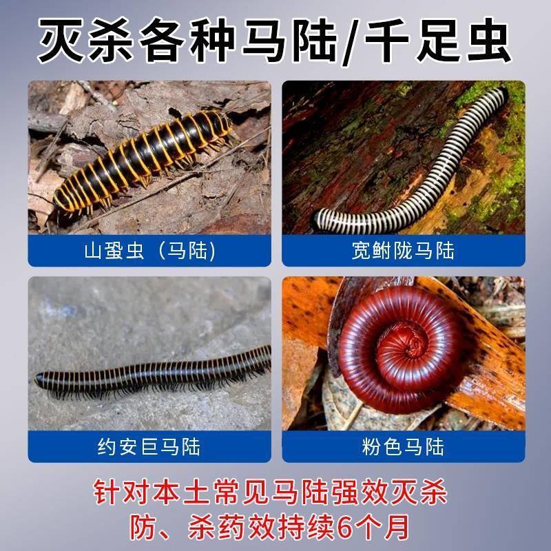 百虫灵杀虫粉柏松六六床上家用跳蚤药剂蜈蚣蚂蚁猫狗虱子杀虫粉cq图片
