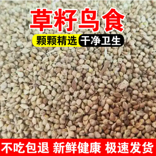 草籽鸟食鹦鹉粮鸟粮鸽粮宠物鸟食鹦鹉外出包加纳利子油葵稗子稻谷