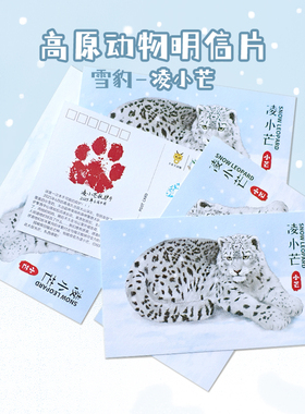 凌小芒雪豹高原动物园明信片西宁野生动物园生态文创