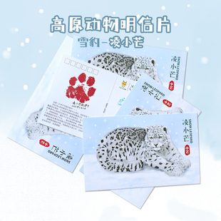 凌小芒雪豹高原动物园明信片西宁野生动物园生态文创