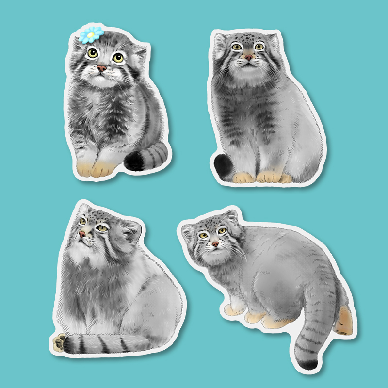 【天音文创】兔狲狲三郎亚克力冰箱贴西宁野生动物园生态文创