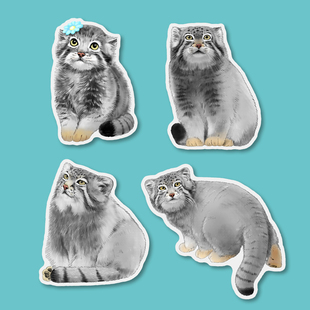 【天音文创】兔狲狲三郎亚克力冰箱贴西宁野生动物园生态文创