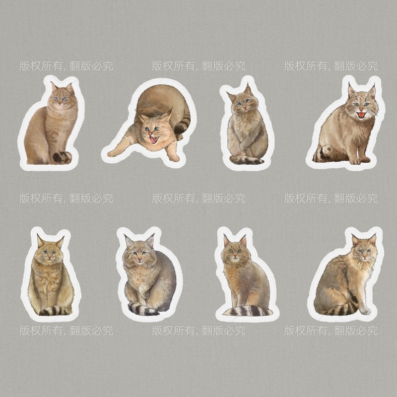 【天音文创】荒漠猫全系异形全切贴纸8张哑膜