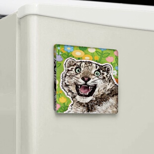 雪豹兔狲猞猁荒漠猫方形亚克力软磁冰箱贴西宁野生动物园生态文创