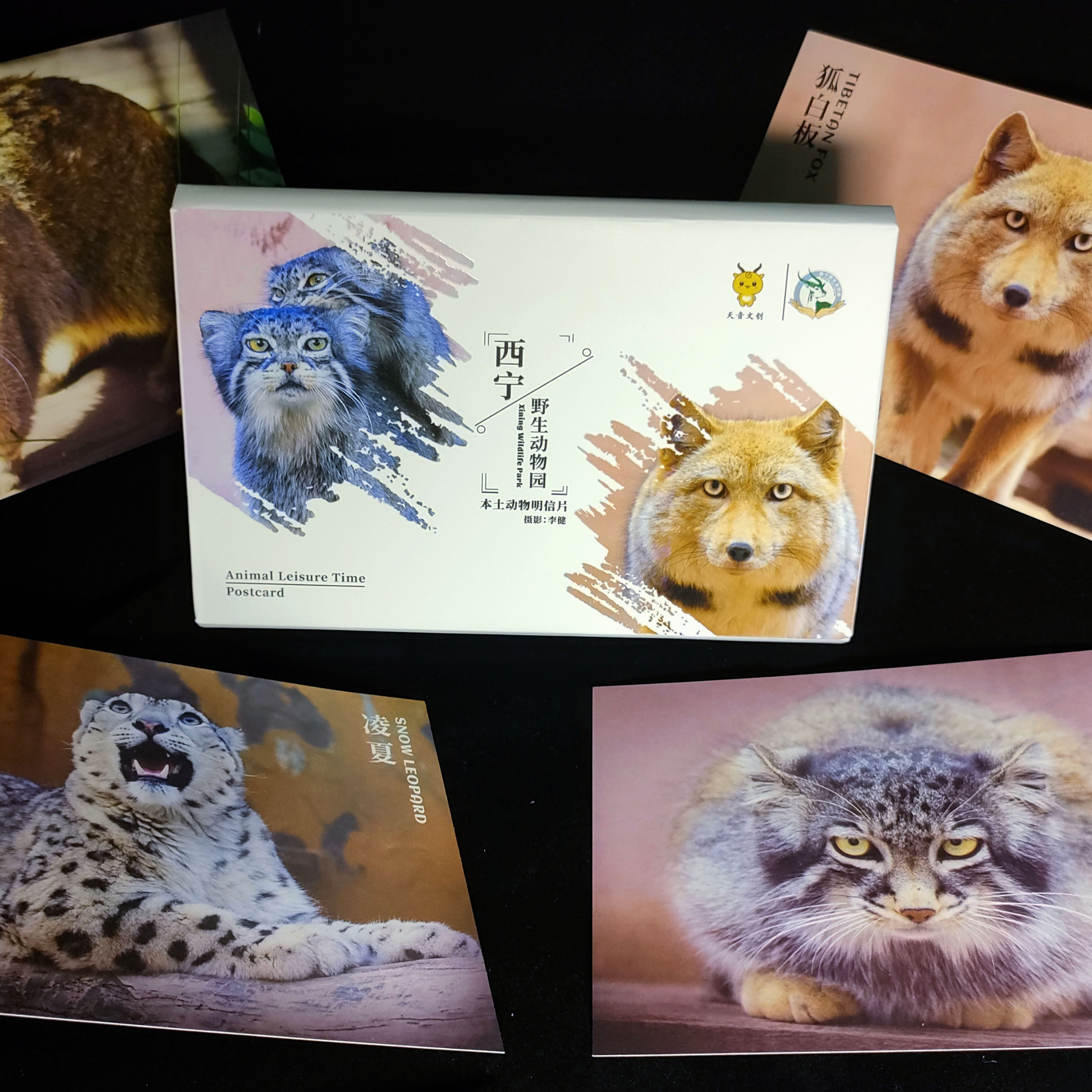 动拍伽利略西宁野生动物园动物明星明信片卡片套装