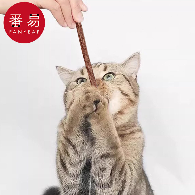 木天蓼/棒A1pn008-猫咪磨牙成幼猫洁齿自嗨解闷玩具宠物薄荷玲珑图片