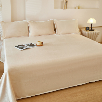 牛奶绒加厚防静电秋冬保暖床单