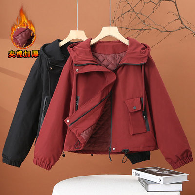 缪真短款夹棉连帽外套女