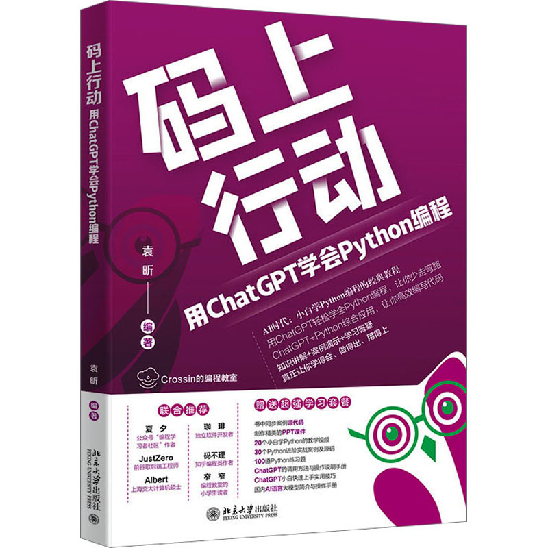 码上行动 用ChatGPT学会网站设计/网页设计语
