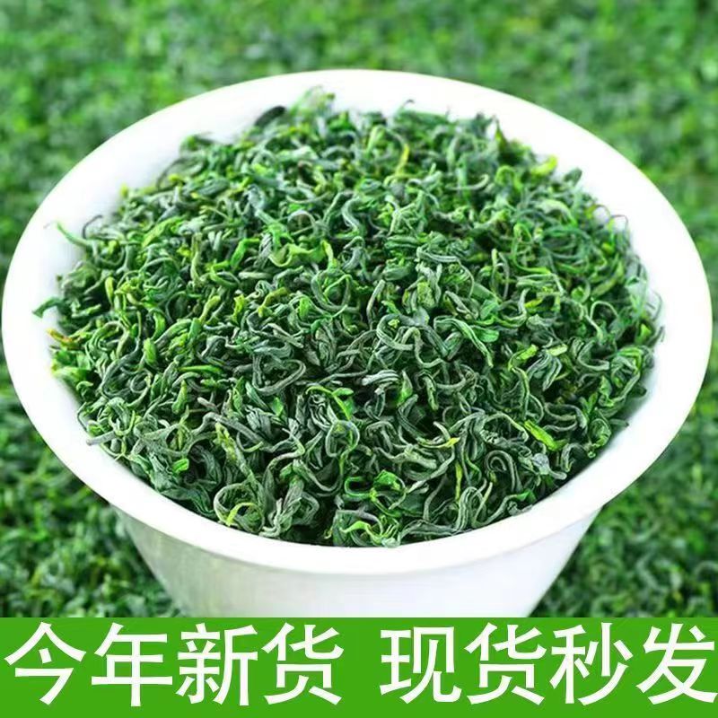 2024新茶【正宗】贵州毛峰茶叶绿茶嫩芽贵州高山云雾炒青绿茶袋装