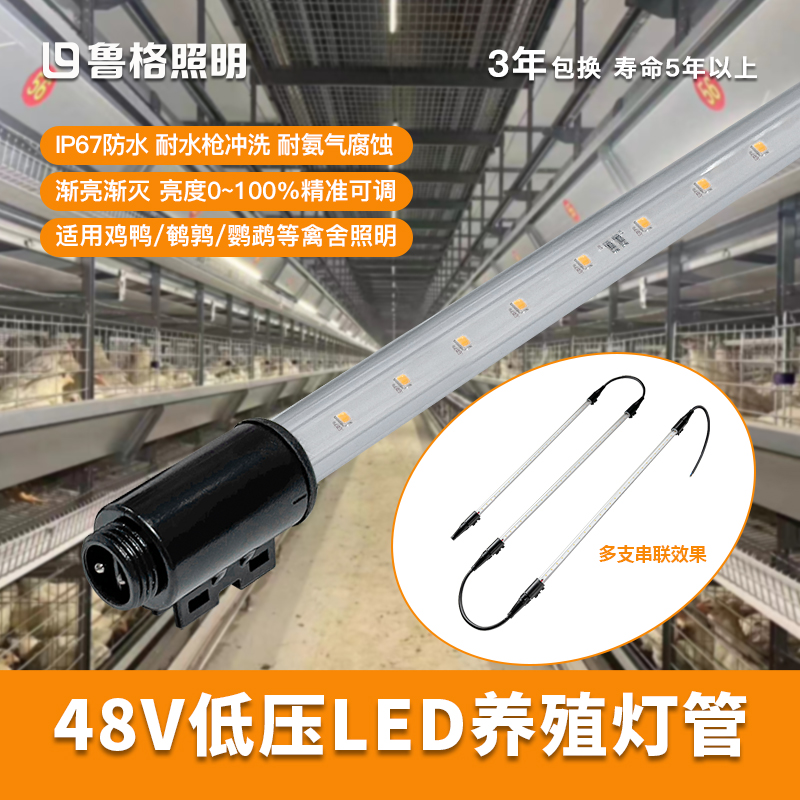 养殖场专用led灯管48V渐亮渐灭