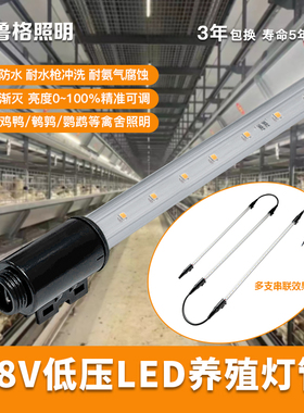 鲁格养殖场专用led灯管低压48V可调光渐亮渐灭鸡鸭鹌鹑鹦鹉照明灯