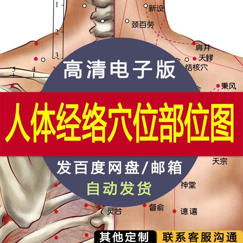 【高清电子版】人体经络穴位部位图男版 设计素材文件图片 电子图