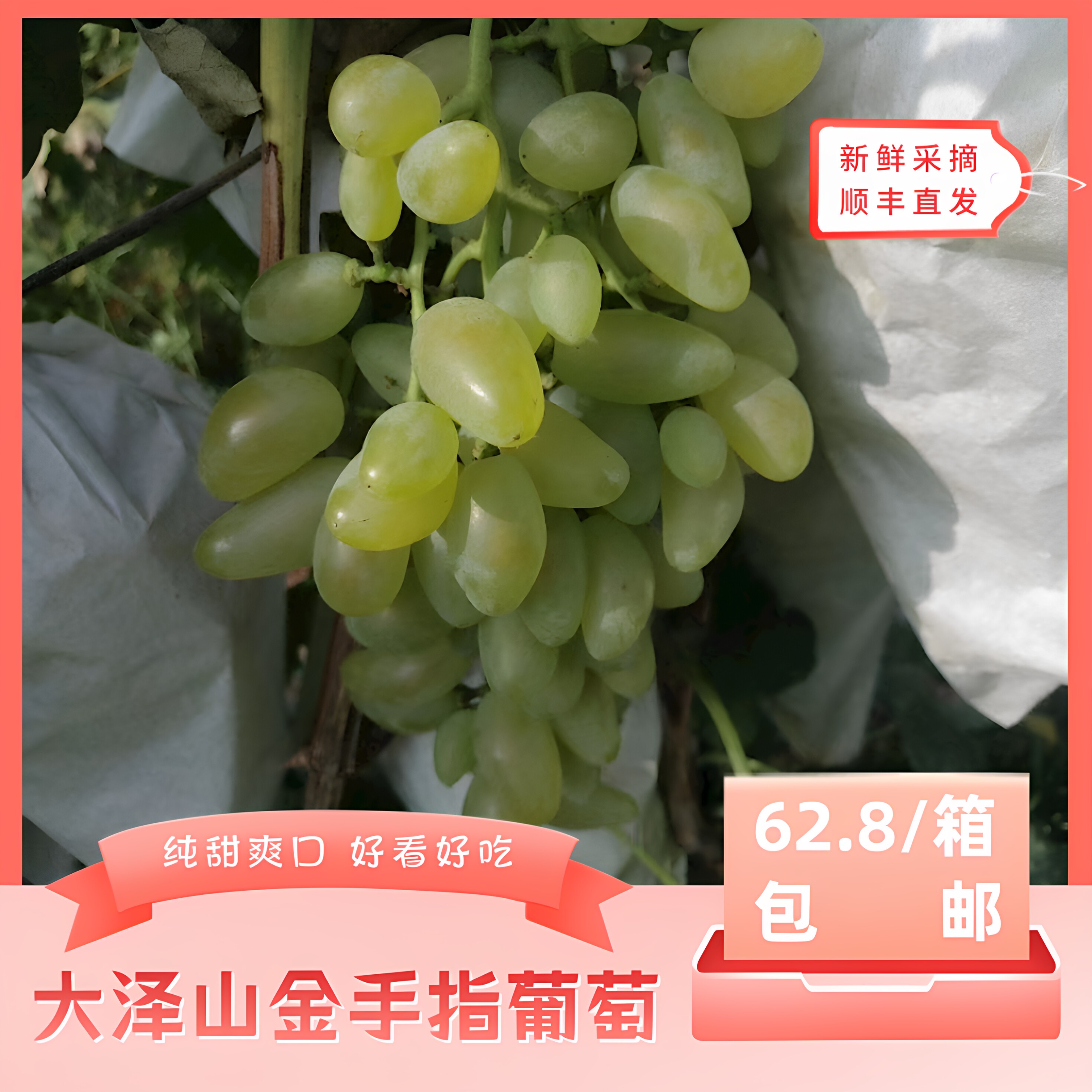 纯甜爽口·好看好吃·顺丰直发